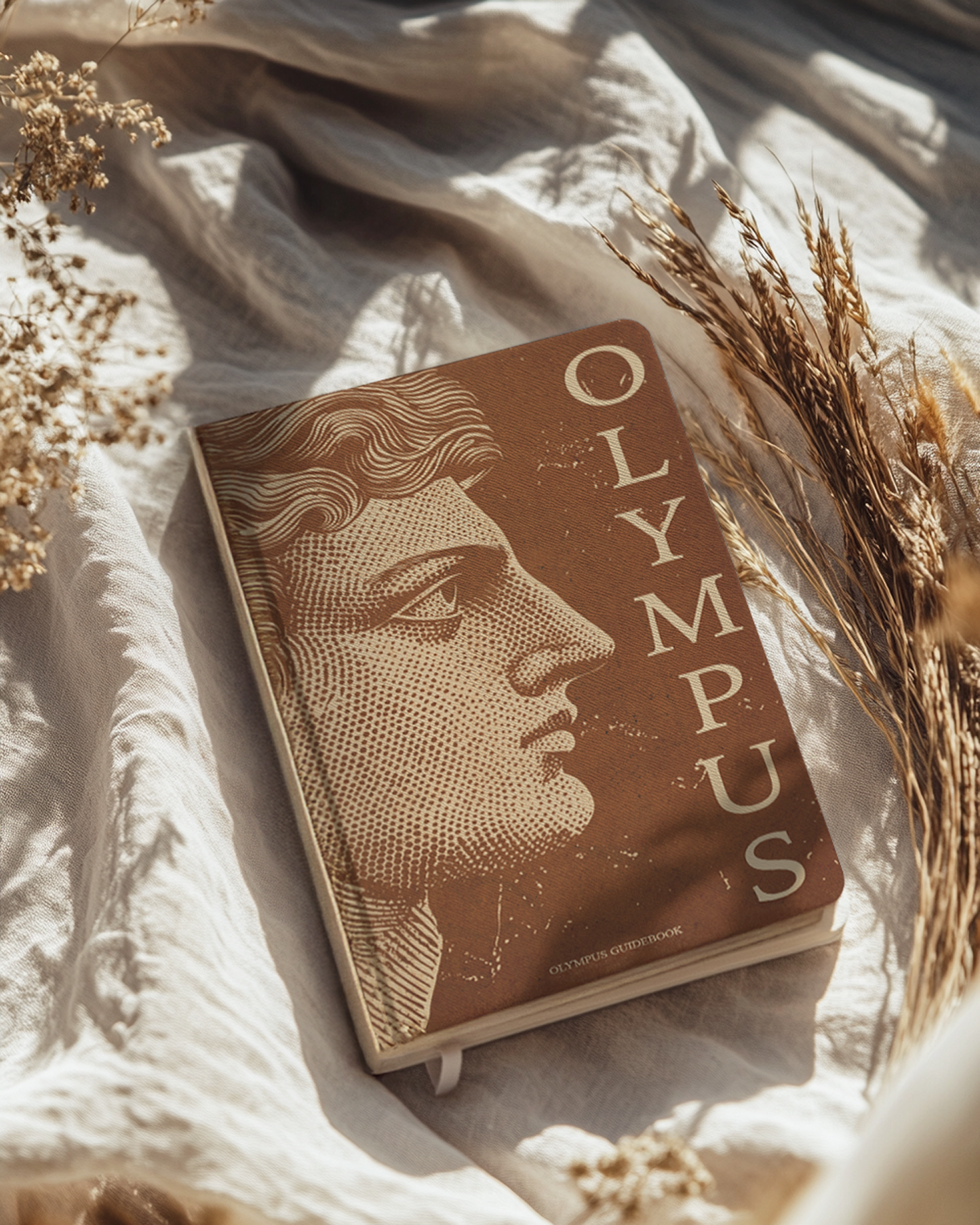 The Olympus Oracle Deck, Guidebook